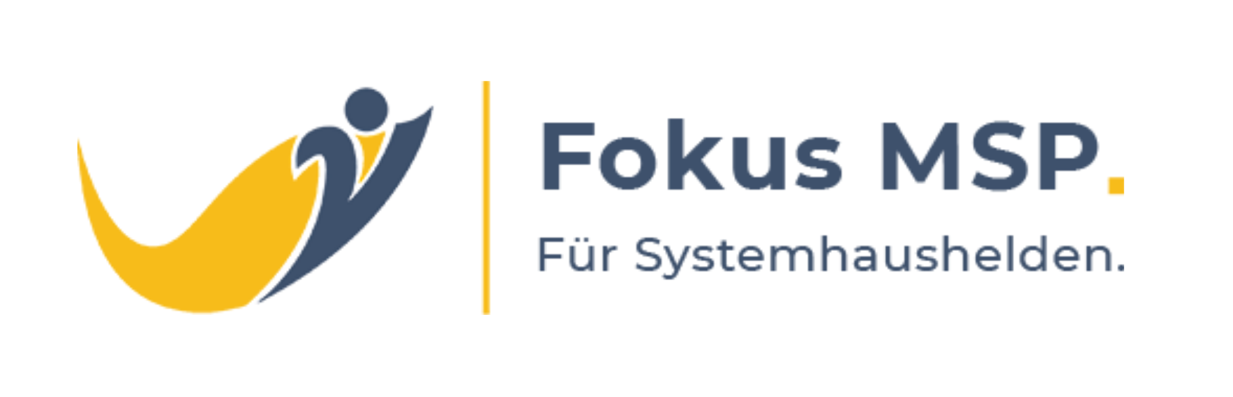Fokus MSP